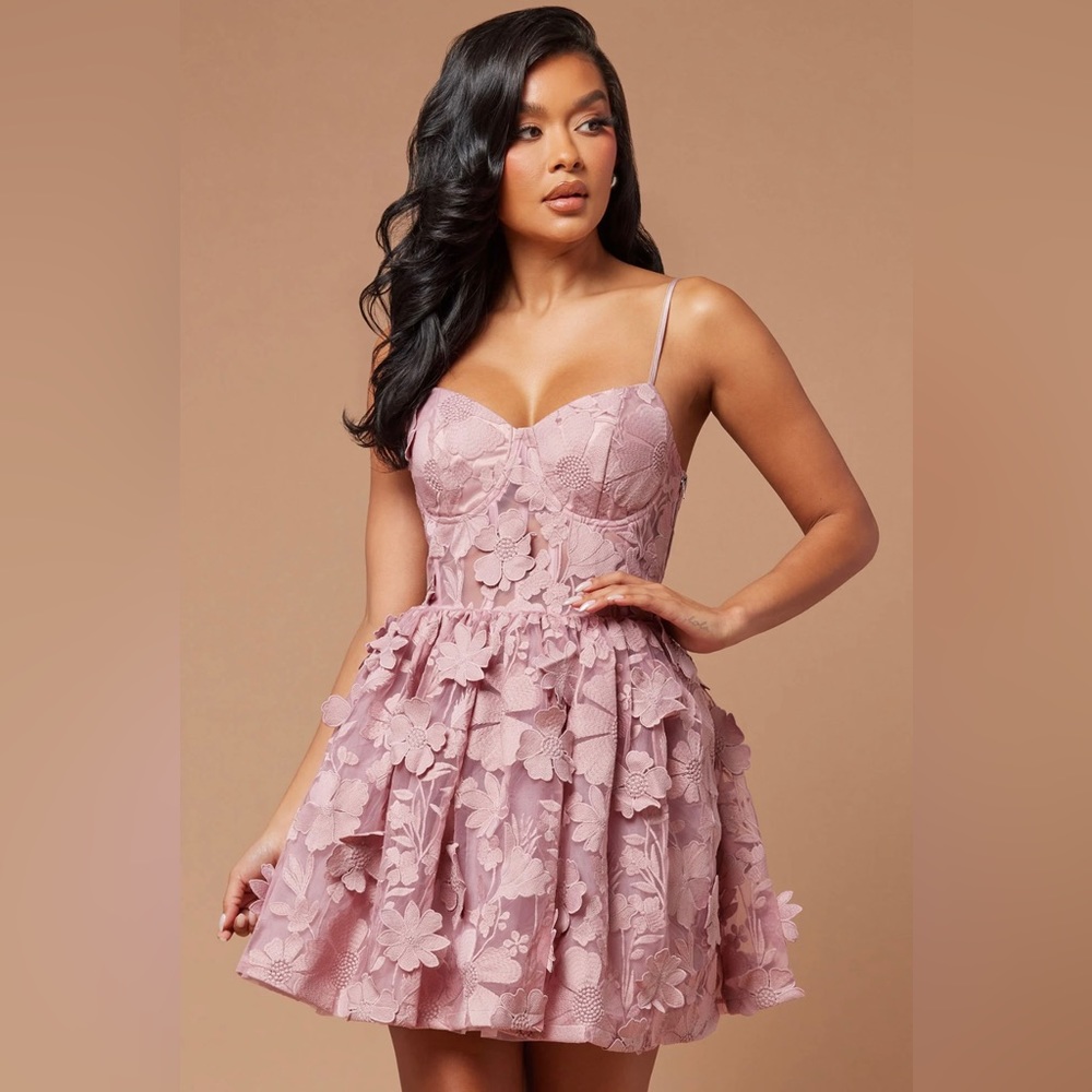 Fashionnova corset dress